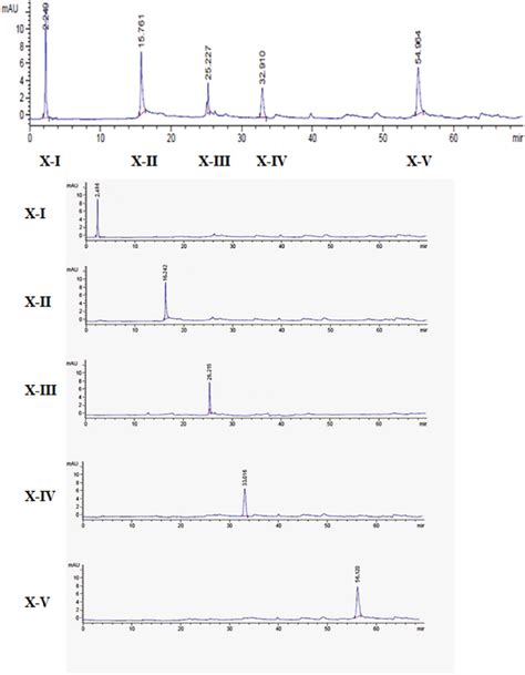 Highperformance Liquid Chromatography Profile Of Pooled And Individual