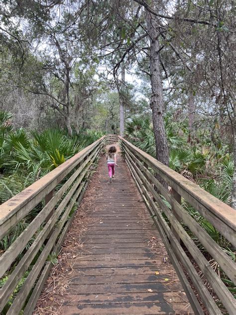 15 Awesome Things To Do In Indian Rocks Beach Florida