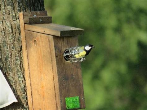 Draaiboek natuurlijke bestrijding eikenprocessierups