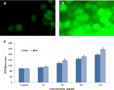 Iron Oxide Nanoparticles Induced Ros Generation In Mcf Cells A