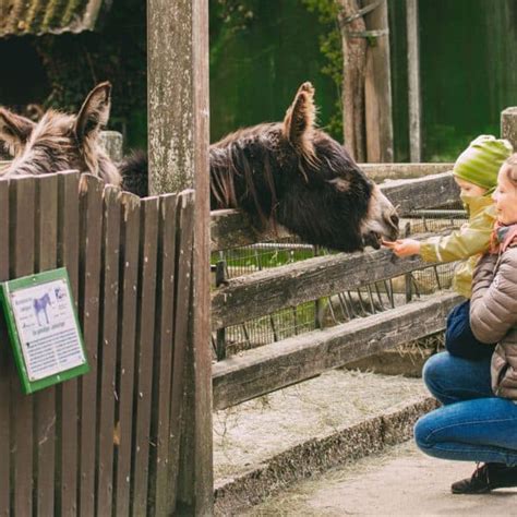 Sylt mit Kindern 9 Aktivitäten bei Regen Sylt Fräulein