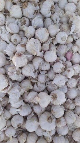 A Grade 100 Pure And Natural Whole Grown Fresh Raw Garlic Moisture