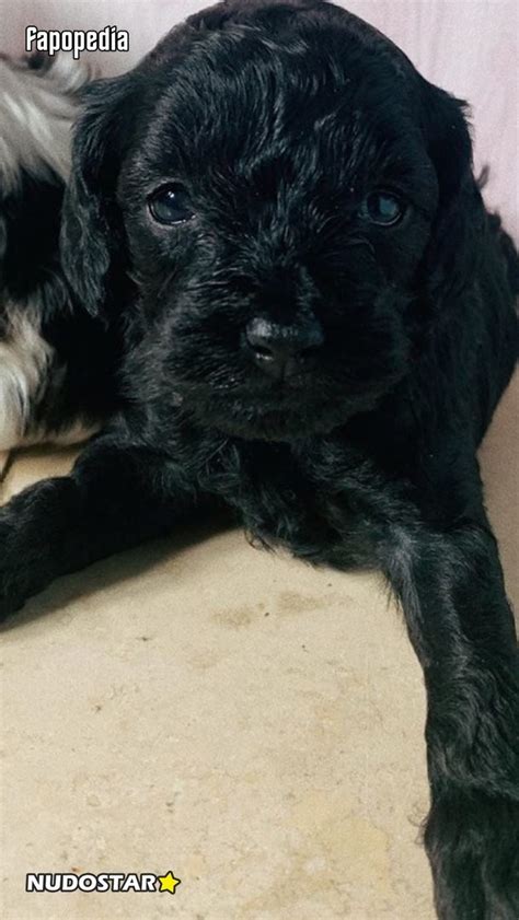 Bethany Lily Nude OnlyFans Leaks Photo Fapopedia