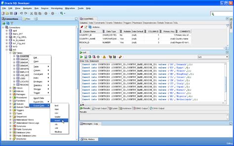 Скачать бесплатно Oracle Sql Developer для компьютера под Windows