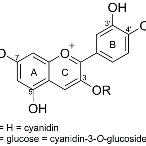 Uv Vis Spectra Of Cyanidin Rt Min In Comparison To Three