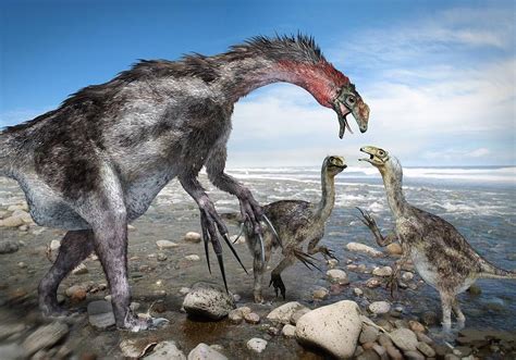 Nothronychus Pictures & Facts - The Dinosaur Database