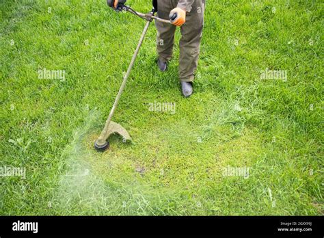 mowing  grass   lawn mower garden work concept background