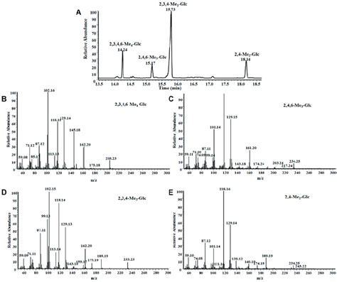 The GC-MS data of the partially methylated alditol acetates of LeP-N2 ...