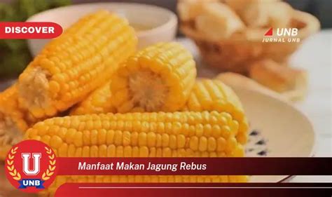 Temukan 6 Manfaat Makan Jagung Rebus Yang Bikin Kamu Penasaran