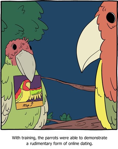 Saturday Morning Breakfast Cereal Parrot