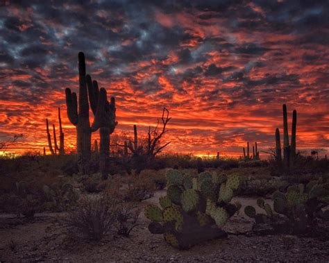 Arizona Desert 4k Wallpapers Top Free Arizona Desert 4k Backgrounds