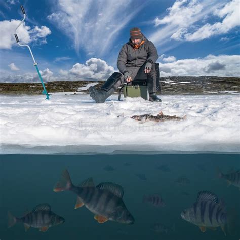 Pescador Del Gato En El Hielo Nevoso En El Lago Sobre La Tropa De Los