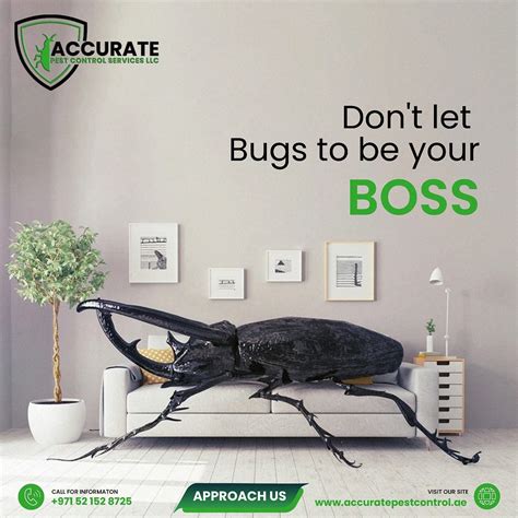 Pest Control Dubai 🚫🦠 𝐃𝐨𝐧𝐭 𝐋𝐞𝐭 𝐁𝐮𝐠𝐬 𝐁𝐞 By Accurate Pest Control In