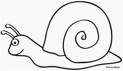 Caracol Para Pintar Buscar Con Google Cute Coloring Pages Coloring