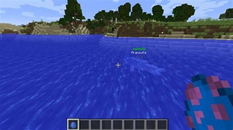 Come Addomesticare Un Delfino Su Minecraft Salvatore Aranzulla