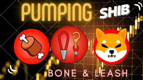 SHIBARMY SHIB BONE SHIBASWAP LEASH PUMPING YouTube