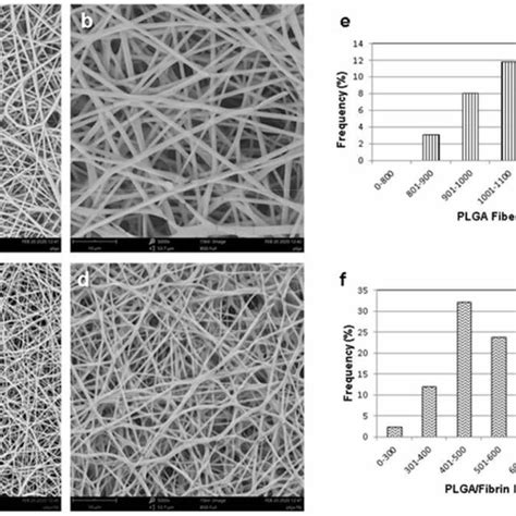 SEM Characterization For Nanofibrous Scaffolds PLGA Scaffold A B