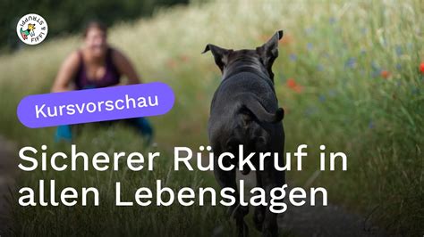 Sicherer R Ckruf In Allen Lebenslagen Youtube