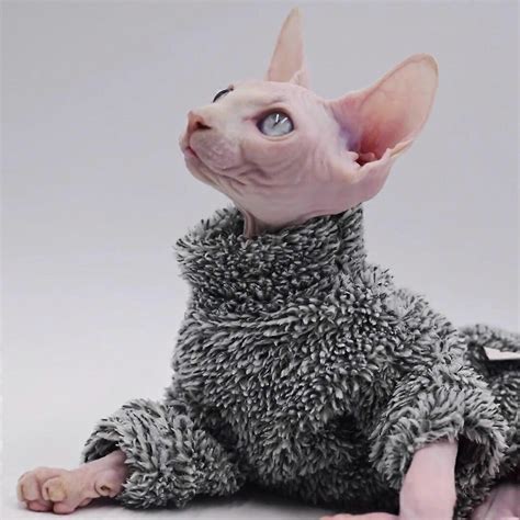 Duomasumi Super Cool Cat Outfits Autumn Winter Warm Wearing Hairless