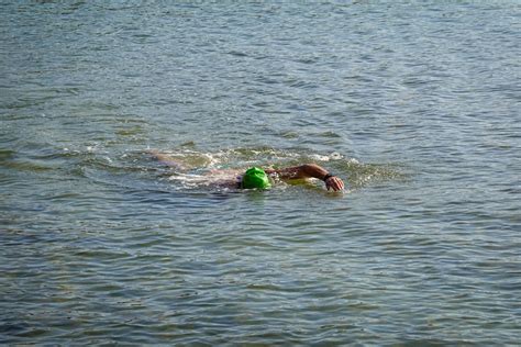 Person Swimming in Water · Free Stock Photo