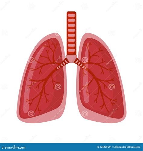 ícone Do Pulmão Humano Em Estilo Plano Isolado Em Fundo Branco