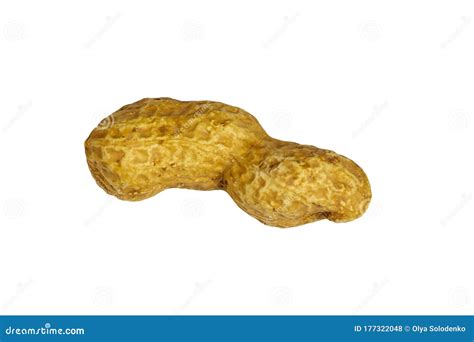 Single Peanut in Shell Isolated on White Background Stock Photo - Image ...