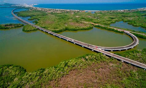 Viaducto Del Gran Manglar Viaducto De La Paz Megaconstrucciones