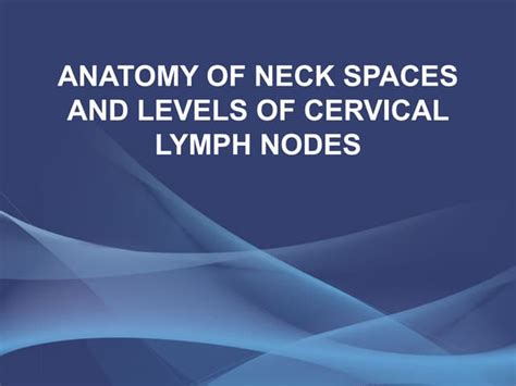 Anatomy Of Neck Spaces And Levels Of Cervical Ppt