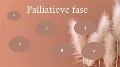 Palliatieve Fase By Rixt Van Der Zee On Prezi