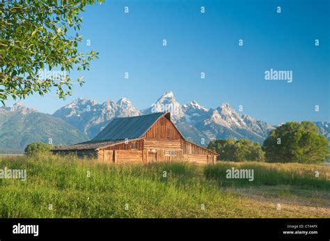 Iconic Scene Of Old Mormon Barn Circa 1880s On Mormon Row In The