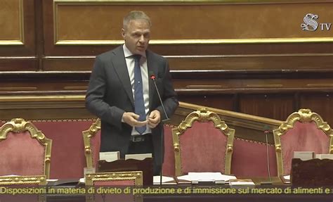 Il Senato Approva Il Ddl Che Vieta La Carne Coltivata