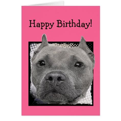 Happy Birthday Pitbull Greeting Card Zazzle