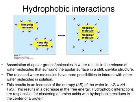 Ppt Lactate Dehydrogenase Powerpoint Presentation Free Download Id