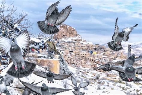 The Stunning Underground City and Panoramas of Cappadocia | Travel Buddies