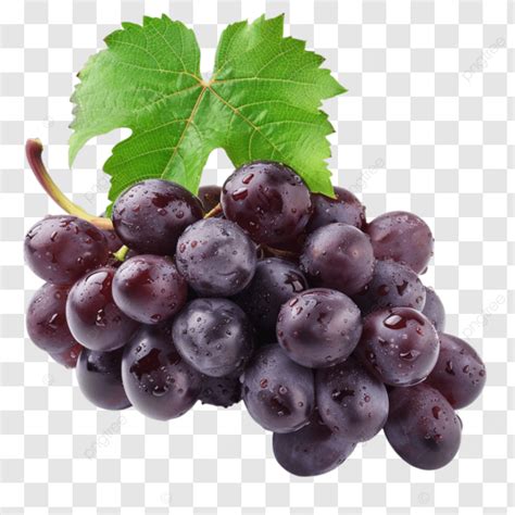 The Nutritional Value Of Black Grapes A Natural Antioxidant Source ...