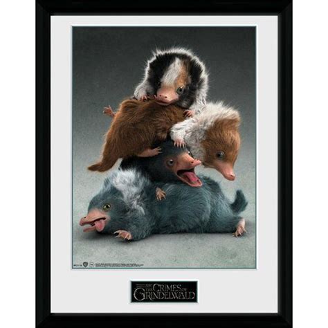 Fantastic Beasts 2 Nifflers Framed Graphic Art Print 17 Stories