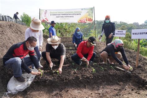 Pemkot Kota Batu Mulai Gerakan Tanam Tanaman Pangan Untuk Kendalikan