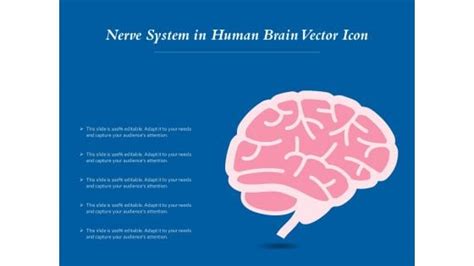 Nerve System Powerpoint Templates Slides And Graphics