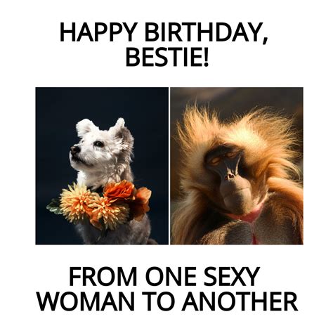 Free Happy Birthday Bestie Meme Template - Edit Online & Download ...