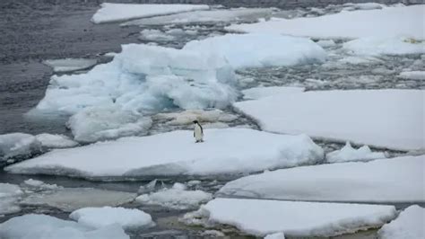 Australie Réchauffement climatique La circulation océanique cruciale