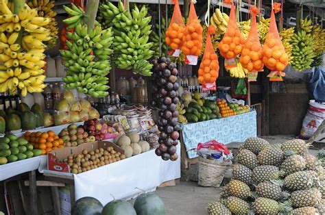 Fruits Taal Pictures Philippines In Global Geography