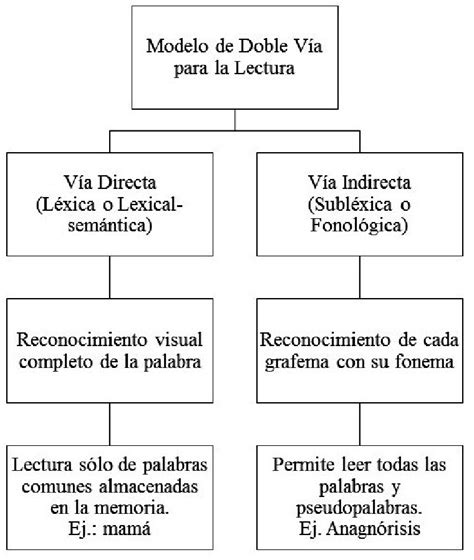 Arriba 88 Imagen Lectura Modelo Abzlocal Mx