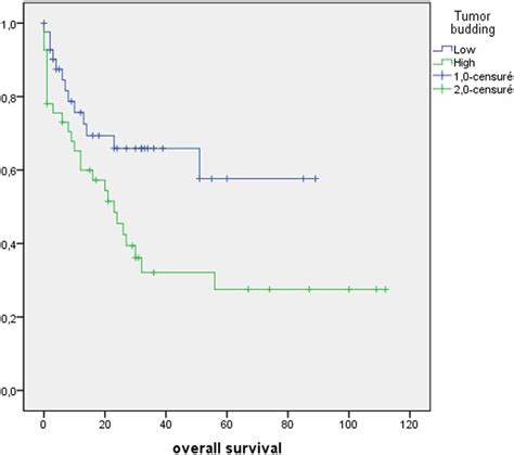 Kaplan Meier Curves Demonstrating Associations Between Tumor Budding