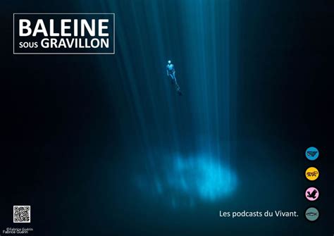 Baleine Sous Gravillon Exposant Montier Photo Festival