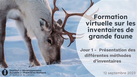 Série Inventaire grande faune Webinaire 1 présentation des méthodes