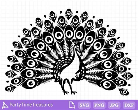 Peacock Svg Bird Svg Peacock Clipart Peacock Feather Svg Peacock