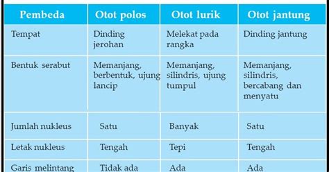 Beda Otot Polos Lurik dan Jantung - Soal Spensa