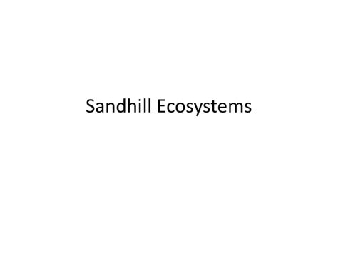 Sandhill Ecosystems