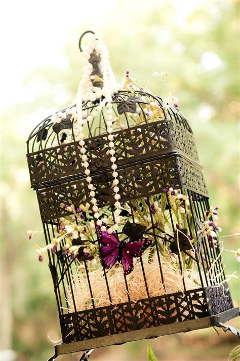 Bird Cage Decor