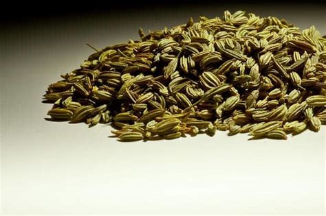 Fennel Seed - Spice Station Fennel Seed